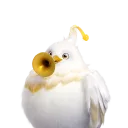 Tubster