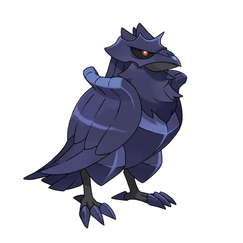 Corvaillus