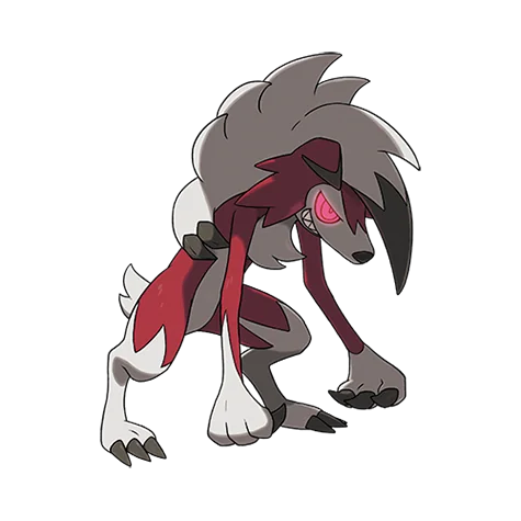 Lougaroc (Midnight)