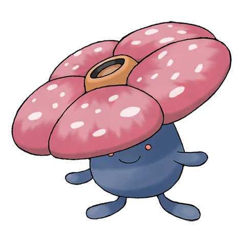 Rafflesia